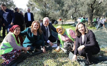 Zeytinin Başkenti Edremit’te MECİ Şenliği başlıyor