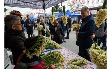 8. Karaburun Nergis Festivali başladı