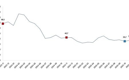 Ciro Endeksleri, Kasım 2025