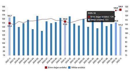 Dış Ticaret Endeksleri, Kasım 2025