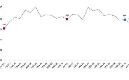 Süt ve Süt Ürünleri Üretimi, Kasım 2025