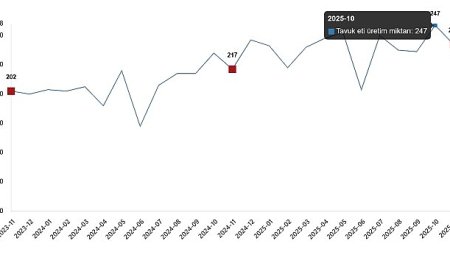Kümes Hayvancılığı Üretimi, Kasım 2025