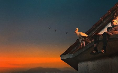 Yaralı Leylek Silyan’ın Hikayesini Anlatan ‘Silyan Efsanesi’,   11 Ocak Pazar 20.00’de   National Geographic Ekranlarında!