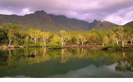 ‘Avustralya’nın Vahşi Ormanları’,   10 Ocak Cumartesi 20.00’de   National Geographic WILD Ekranlarında!