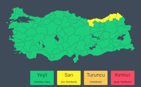 Doğu Karadeniz için kuvvetli yağış ve kar uyarısı!