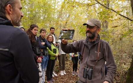 Ormanya ve Kuzuyayla ziyaretçi rekoru kırdı