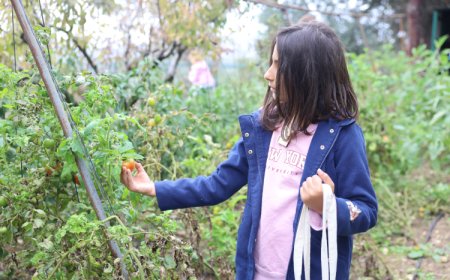Minik kaşifler Leylek Göl Evi’nde