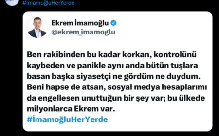 Mudanya Belediye Başkanı Deniz Dalgıç’ın kapatılan hesabı yeniden açıldı
