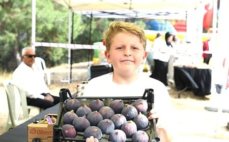 Osmangazi Belediyesi’nden dünyaca ünlü siyah incire festival