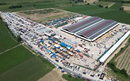 Bursa İnegöl’de hayvan pazarları ‘belirsiz süre’ kapatıldı