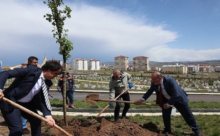 Minik Meleklerin Mezarlarında Anlamlı Düzenleme