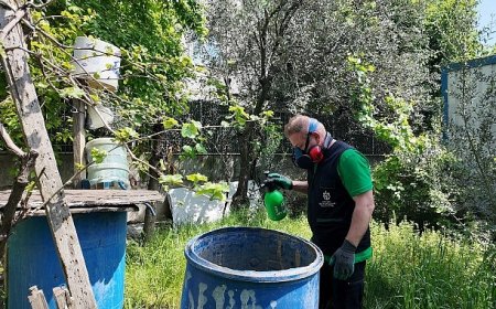 Büyükşehir, sivrisineksiz bir yaz için çalışıyor