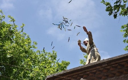 Festival’in Renkleri Fotoğraf Karelerinde Hayat Bulacak