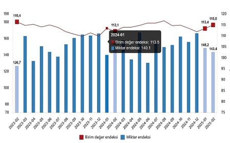 Dış Ticaret Endeksleri, Şubat 2025