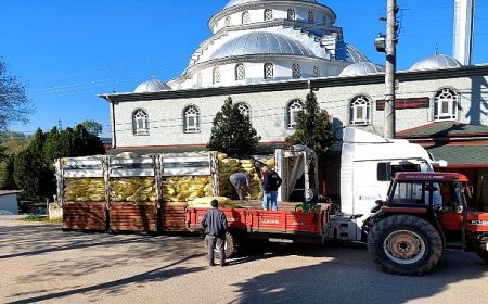 Büyükşehir, tarımın gücüne güç katıyor