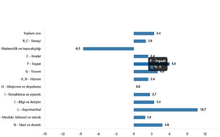 Ciro Endeksleri, Şubat 2025