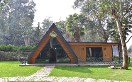 Orman Okullarıyla Gelecek Yeşeriyor