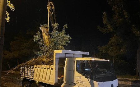 Aydın Büyükşehir Belediyesi’nden Şiddetli Yağış ve Fırtınaya Karşı Hızlı Müdahale