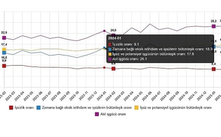 İşgücü İstatistikleri, Şubat 2025