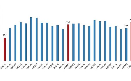 Dış Ticaret Endeksleri, Ocak 2025
