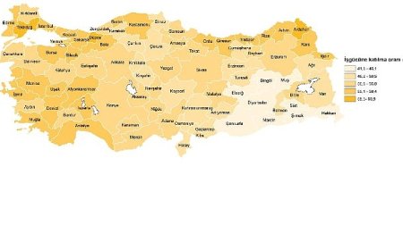 İşgücü İstatistikleri, 2024