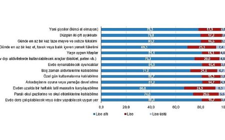 Çocuk Sağlığı ve Yoksunluğu, 2024