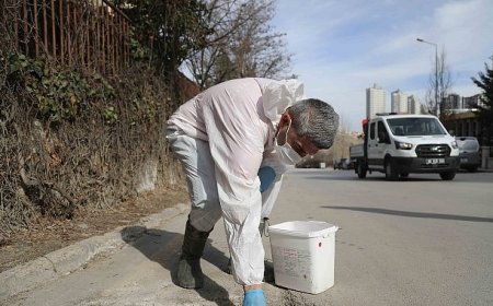 Çankaya Belediyesi Ekipleri ilaçlama mesaisinde kent zararlılarına kaynağına çözüm