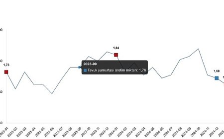 Kümes Hayvancılığı Üretimi, Ocak 2025