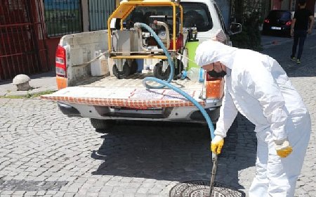 Zeytinburnu Belediyesi’nden Sivrisinek Sorununa Erken Müdahale