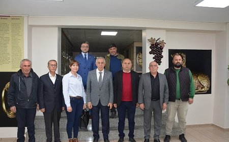 Salihli zeytinyağı için coğrafi işaret hazırlığı