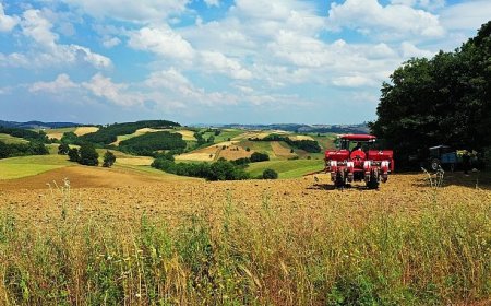 ​​​​​​​Kocaeli toprağı Büyükşehir’le bereketleniyor 