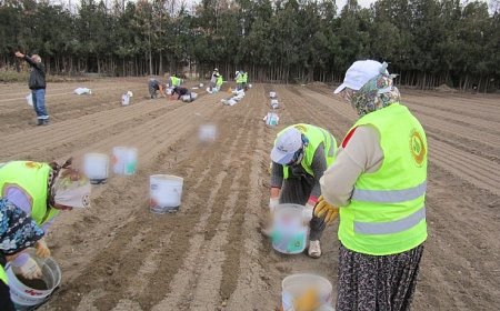 OGM’den girişimci orman köylüsü kadınlara 64 milyon TL destek