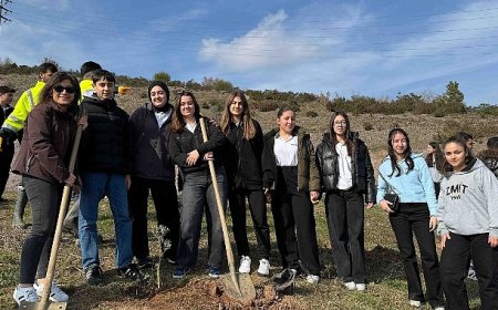 Kocaeli Büyükşehir, 1 Mart’ı unutmuyor, unutturmuyor;  1 Mart anısına hatıra ormanı oluşturuldu