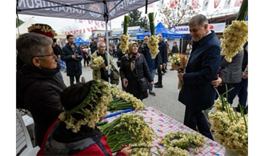 8. Karaburun Nergis Festivali başladı