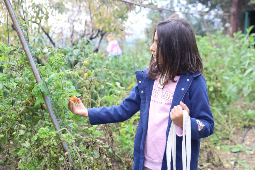 Minik kaşifler Leylek Göl Evi’nde