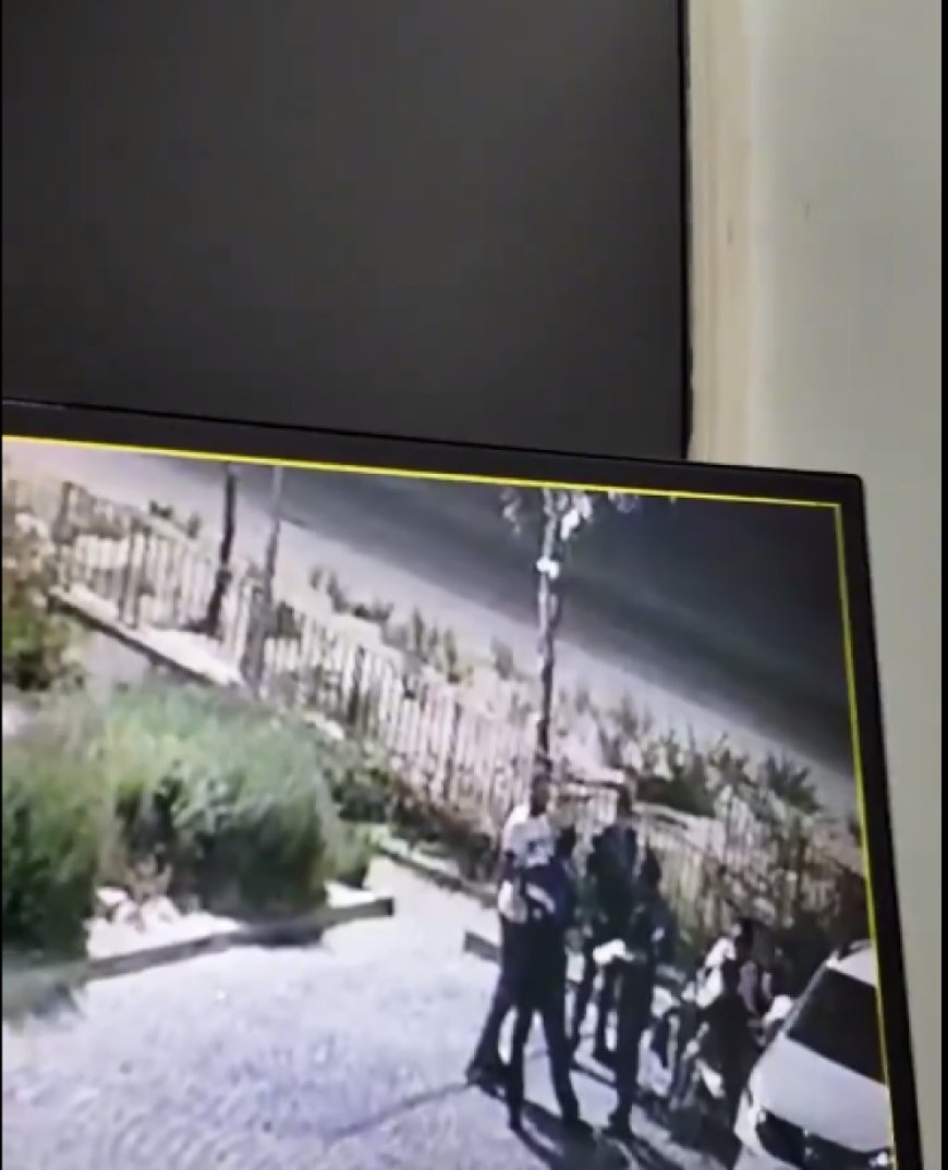 Mudanya Zabıtası çevreyi kirleten gençlere çöp toplattı, ceza kesti!