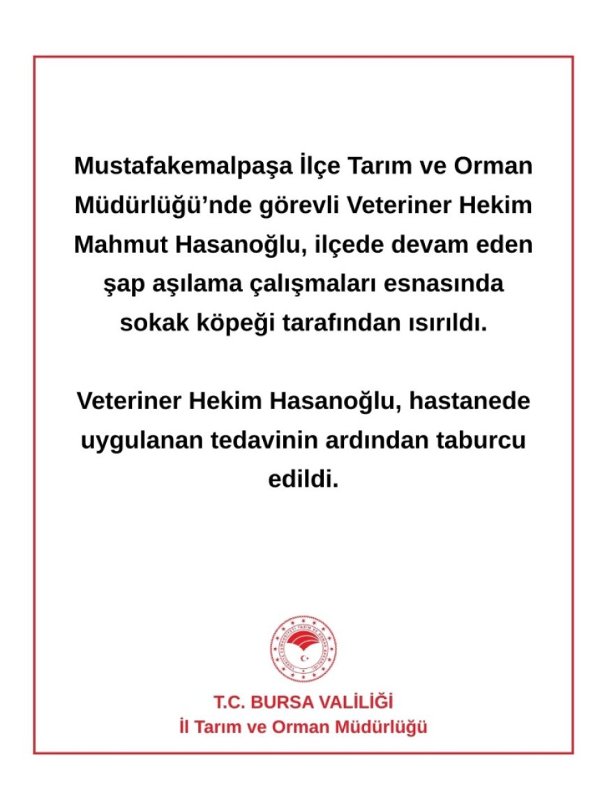 Bursa’da veteriner hekim sokak köpeği tarafından ısırıldı!
