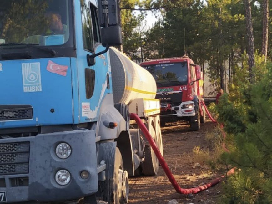 Bursa’da orman yangınlarında son durum… 9 mahalle boşaltıldı, hayvan barınağı yandı!