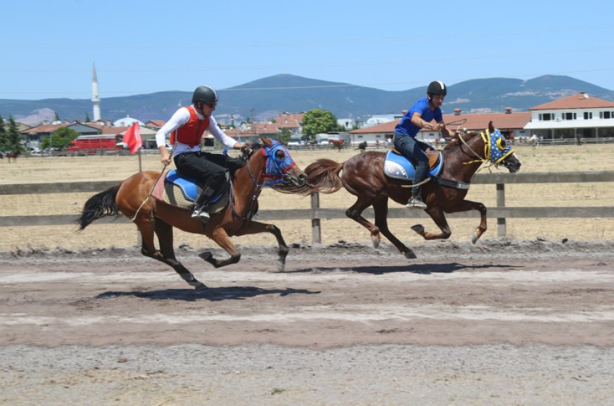 Değirmendere’de geleneksel Rahvan yarışları nefes kesti