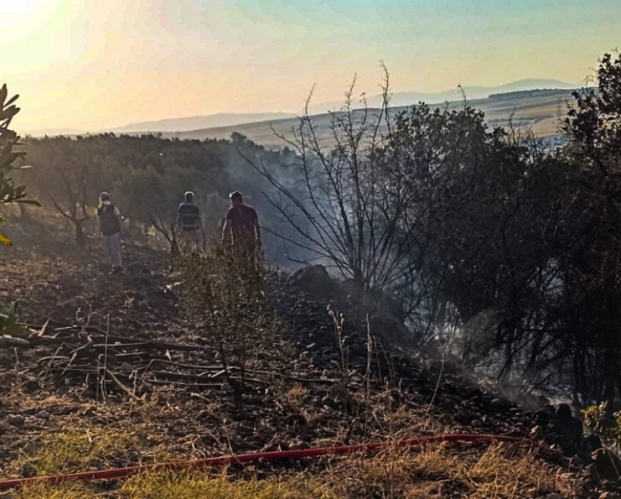 Bursa Karacabey’de orman yangını: 500 dönüm zarar gördü