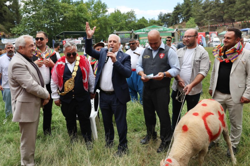 Bursa’da 63. Tarihi Çalı Yağlı Güreşleri heyecanı