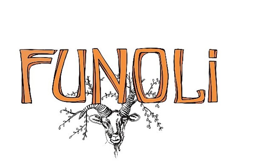 Türk butik zeytinyağı markası Funoli, New York Uluslararası Zeytinyağı Yarışması’nda 2 altın madalya kazandı