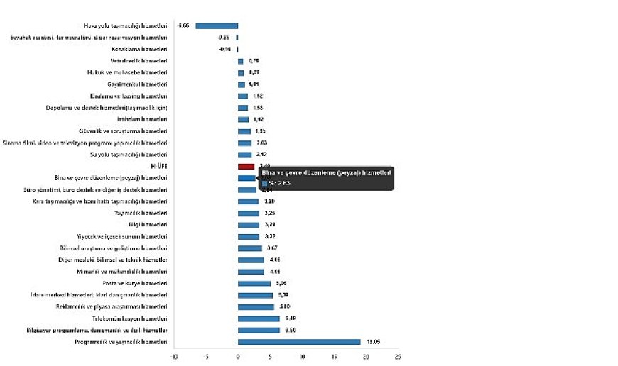 Hizmet Üretici Fiyat Endeksi, Şubat 2025