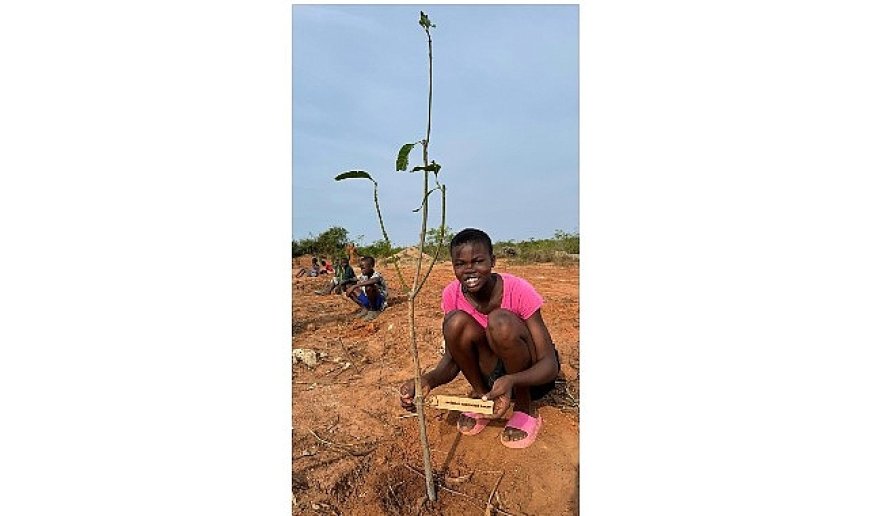 Bağcılar Belediyesi, Afrika’da yetimler için meyve bahçesi oluşturdu