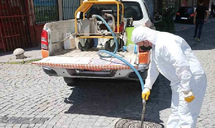 Zeytinburnu Belediyesi’nden Sivrisinek Sorununa Erken Müdahale