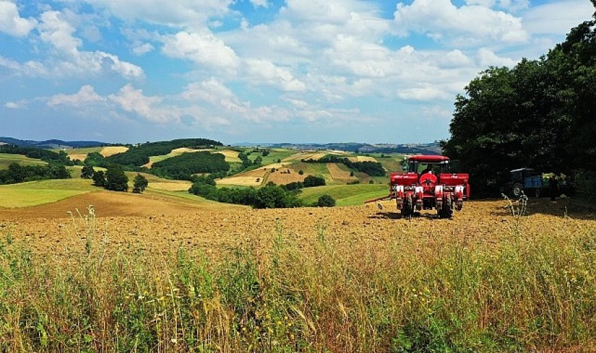 ​​​​​​​Kocaeli toprağı Büyükşehir’le bereketleniyor 