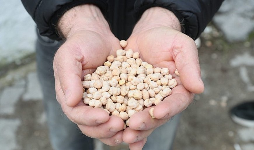 Urla Belediyesinden  çiftçiye tohum desteği  &  Urla’da tarıma can suyu